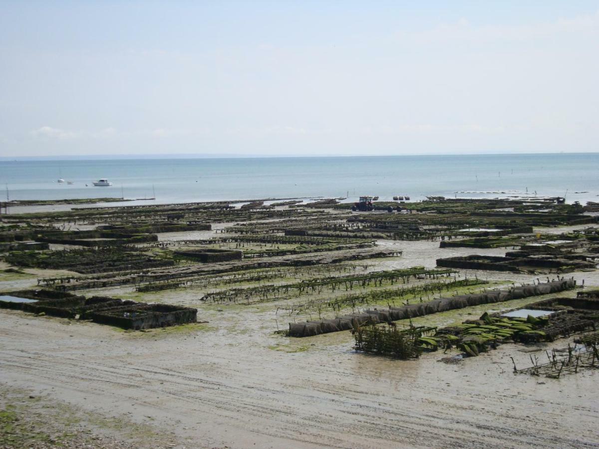 Petit Coin De Paradis Apartment ก็องแกล ภายนอก รูปภาพ